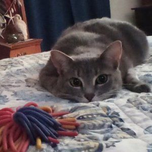 Meet your Posher, Jenny